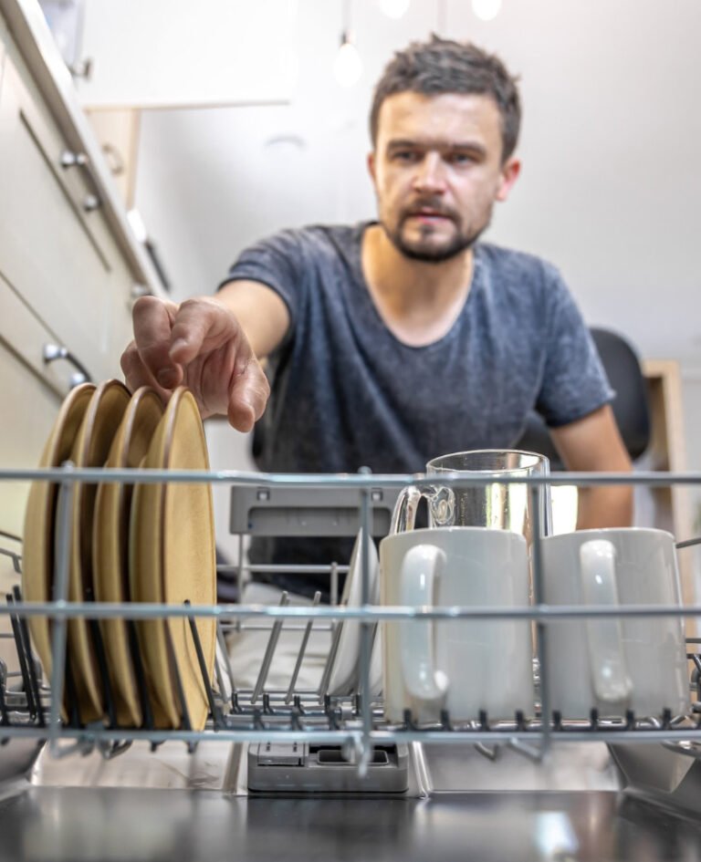 Cockroach Pest Control Near Me Crescent Pest Control Dubai